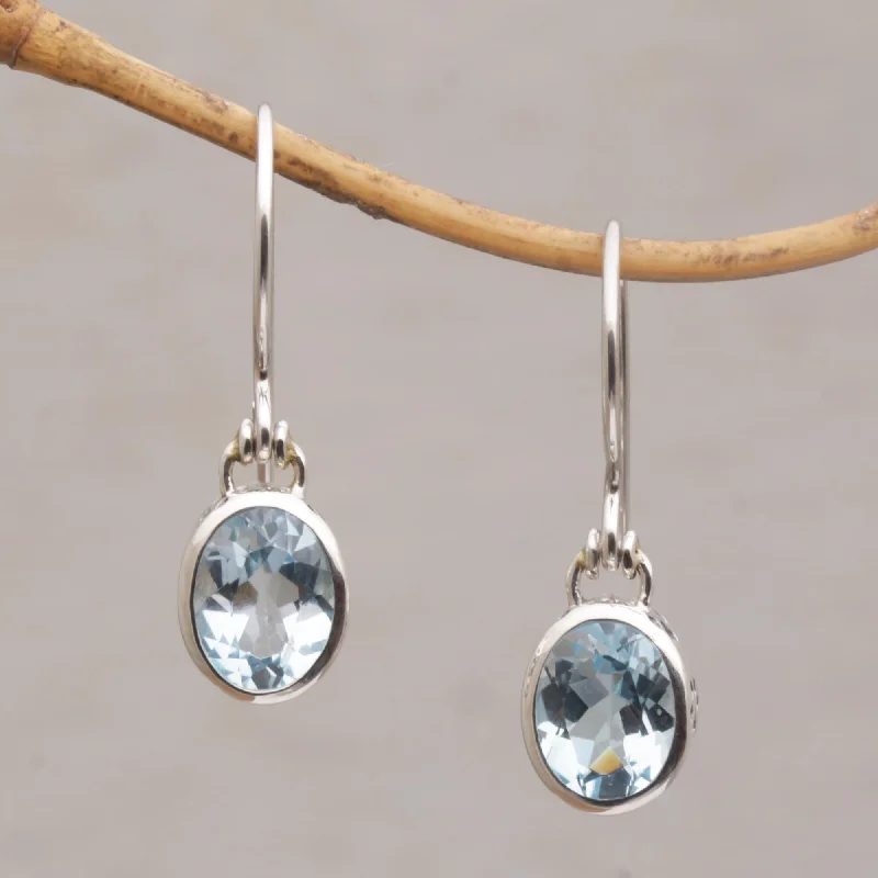 Shop Handcrafted Jewelry At Special Promotional Rates Blue Paws Blue Topaz and Sterling Silver Paw Print Dangle Earrings